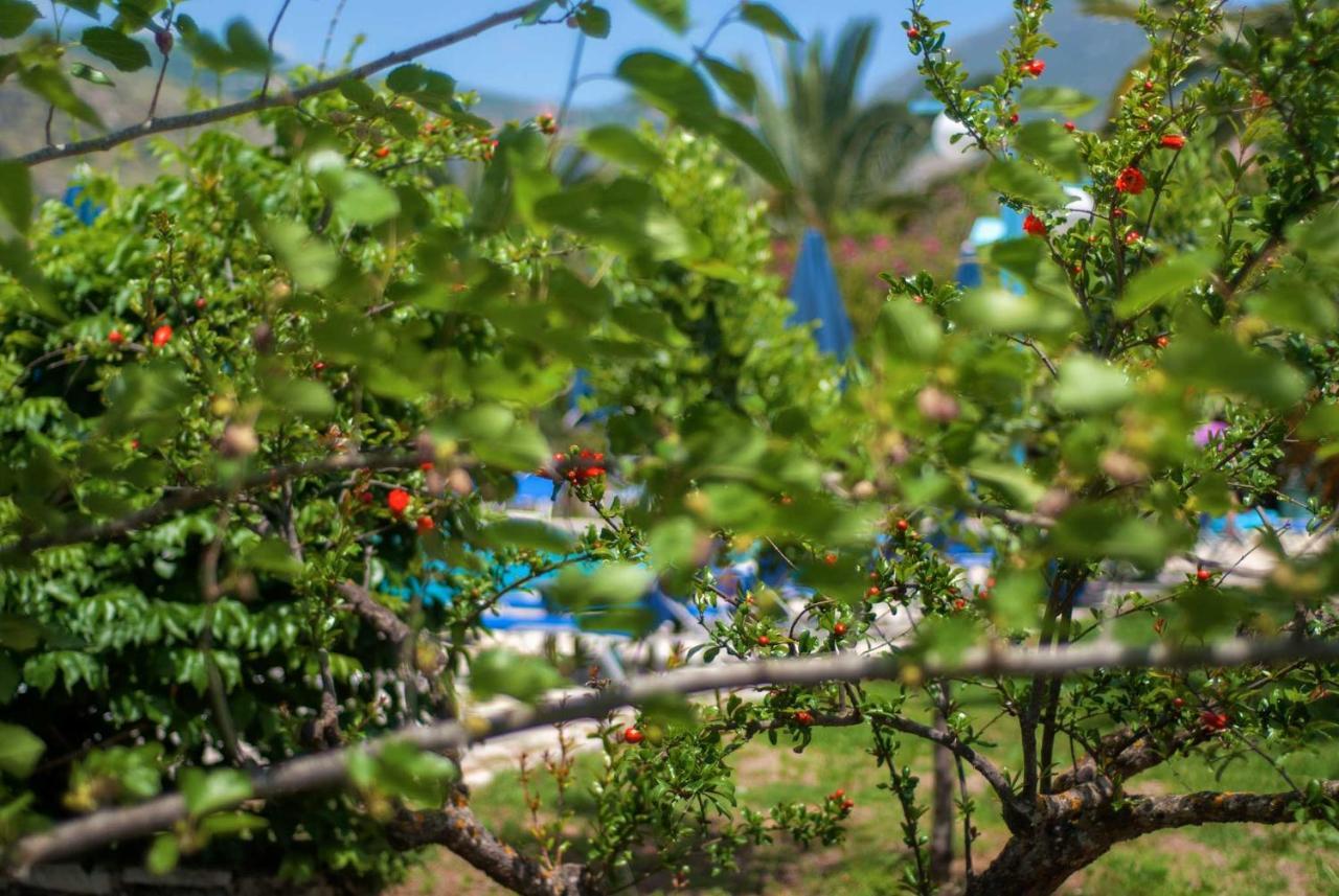 Hotel Efrosini Village 3*